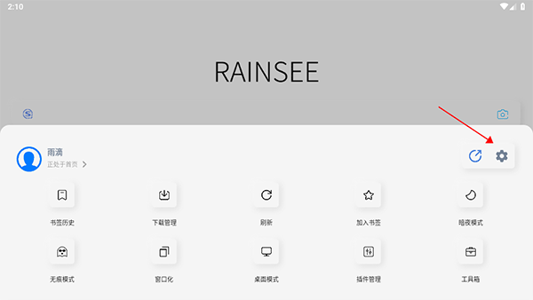 Rains浏览器轻量版