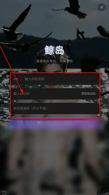 鲸岛安卓版