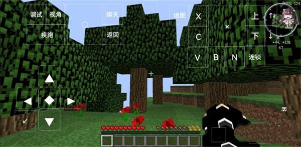 我的世界少年骇客