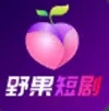 野果短剧安卓版