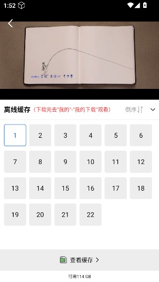 天鹅视频大全