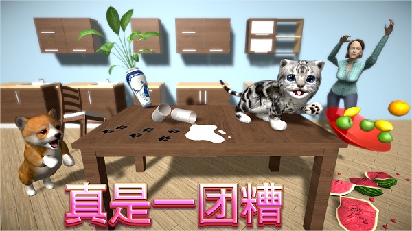 猫咪模拟器截图2