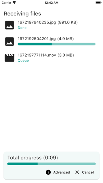 LocalSend安卓版截图2