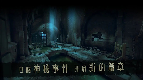 The House of da Vinci 2截图1