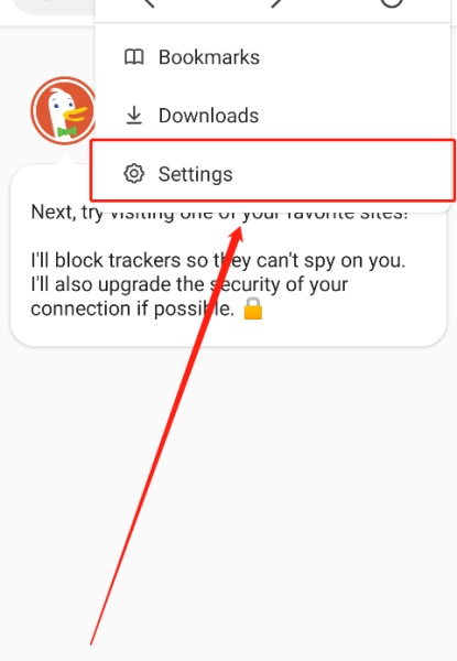duckduckgo浏览器截图0