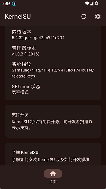 kernelsu安卓版截图0